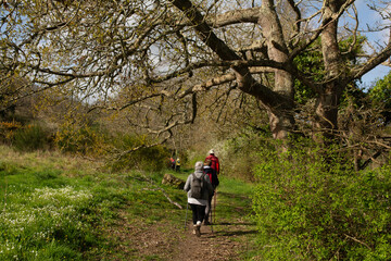 Randonneurs sur un sentier en Bretagne - France
