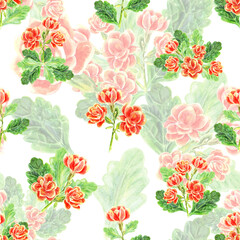Pattern of kalanchoe flowers and leaves of succulents bouquet. Watercolor hand painted illustration isolated on white background. Used in packaging, on fabric, textiles and wrapping paper