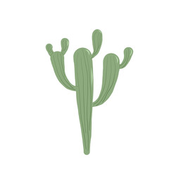 Nopal Mexican cacti. Cactus isolation on white background. Exotic plant Vector flat illustration