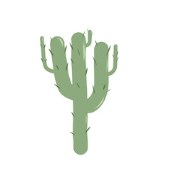 Cactus isolation on white background. Mexican exotic plant Vector flat illustration