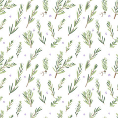 Rosemary herb seamless pattern. Rosemary plant green leaves repeat background. Botanic endless cover. Vector hand drawn illustration.