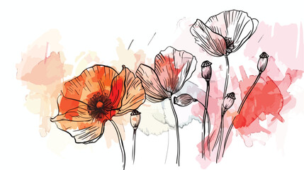 Ink pencil watercolor poppy flower sketch. Line art - obrazy, fototapety, plakaty