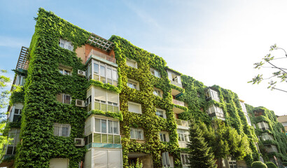Green building with plants growing on the facade. Ecology and green living in city. Eco-building...