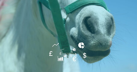 Image of diagrams and currency symbols over horse