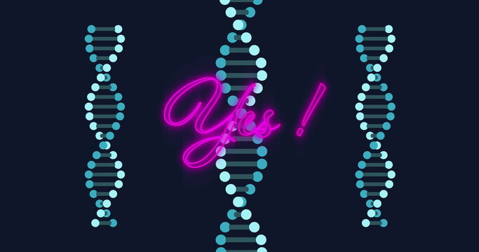 Image of neon purple yes text banner over spinning dna structures against black background