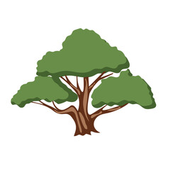 Colorful cartoon bonsai tree vector image, flat illustration design elements
