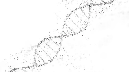 3D rendering of a DNA double helix structure with spheres on a white background with copy space. Genomic sequencing, molecular biology, and genetic data analysis - obrazy, fototapety, plakaty