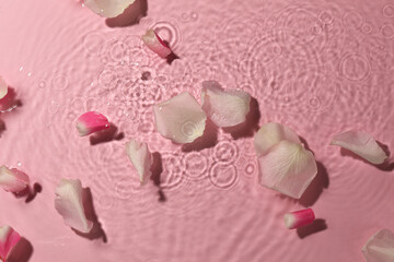 Beautiful rose petals in water on pink background, top view