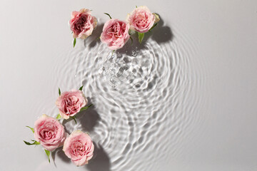 Beautiful roses in water on white background, top view. Space for text