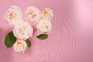 Beautiful roses and leaves in water on pink background, top view. Space for text