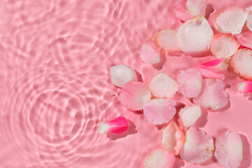 Fototapeta premium Beautiful rose petals in water on pink background, top view. Space for text