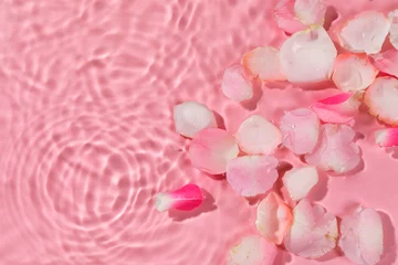 Foto op Aluminium Beautiful rose petals in water on pink background, top view. Space for text © New Africa