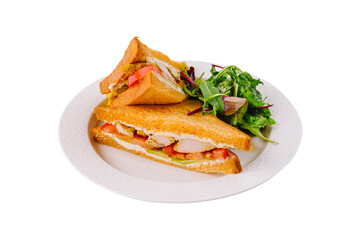 Fresh chicken sandwich with salad on white plate
