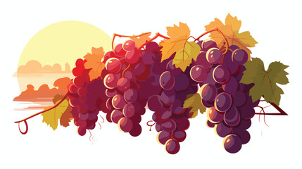 A cluster of ripe grapes hanging from a vine in a sun- - obrazy, fototapety, plakaty