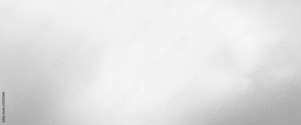 Poster vector soft gradient white color grey and black gradient, used as background studio wall for display