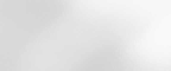 Vector soft gradient white color grey and black gradient, used as background studio wall for display your products.