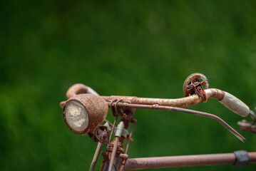 Old decay bicycle on green vine climbing garden wall outdoor. Rust Classic bike old bicycle on green garden wall retro style. Vine plant green leaves partition background.