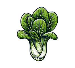 Bok choy hand drawn vector illustration graphic - obrazy, fototapety, plakaty