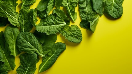 Fresh Mustard Greens on solid background.