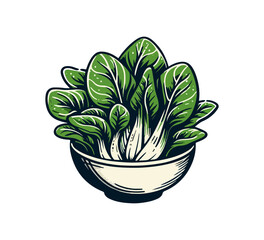 Bok choy hand drawn vector illustration graphic - obrazy, fototapety, plakaty