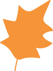 Dried maple tree leaf, herbarium silhouette. Bright autumn forest foliage flat illustration. Simple cartoon vector hand drawn isolated on white background