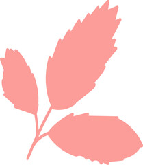 Pink tree leaf, herbarium silhouette. Bright autumn forest foliage flat illustration. Simple cartoon vector hand drawn isolated on white background