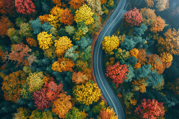 Aerial view of inegol domanic road with beautiful autumn colors of nature.