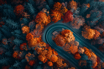 Aerial view of inegol domanic road with beautiful autumn colors of nature.