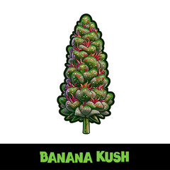Vector Illustrated Banana Kush Cannabis Bud Strain Cartoon	