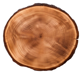 PNG  Wood circle plant tree. AI generated Image by rawpixel.