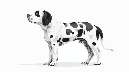 A white black-patterned dog stood one. flat vector isolated