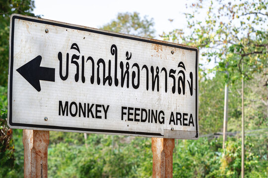 Rare old sign monkey feeding area road sigh in Thailand thai language