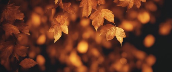 Autumn orange leaves on black background with shiny golden lights - Powered by Adobe