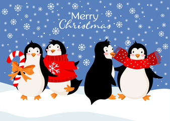 Holiday card with funny penguins in different clothes, snowflakes. Cute winter character wearing a scarf, sweater and holding candy. Winter holidays congratulations concept. Website banner