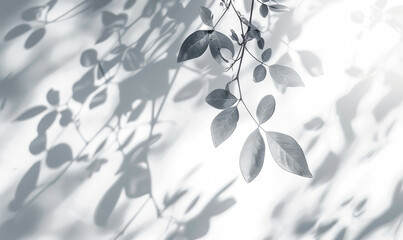 Leaf Shadow Overlay Mockup: Realistic Nature-Inspired Wall Textures with Branches and Foliage Lighting Effects