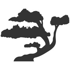 Bonsai tree vector black silhouette isolated on a white background.