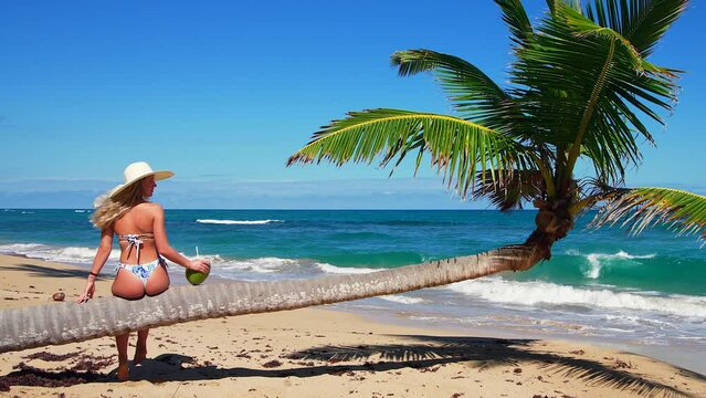 A Young Woman in a Bikini with Her Back to the Camera Sits on the Trunk of a Coconut Palm on a Caribbean Beach in the Dominican Republic, Holding a Fresh Coconut.