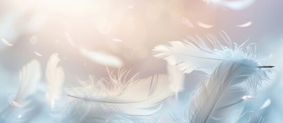 Delicate white feathers drift gracefully against a light backdrop, suggesting serenity and purity.