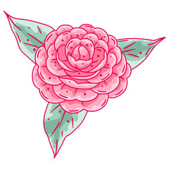 Illustration of camellia flower. Beautiful decorative plant.