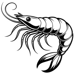       shrimp vector illustration.
