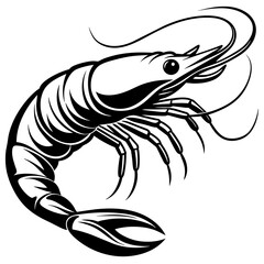       shrimp vector illustration.
