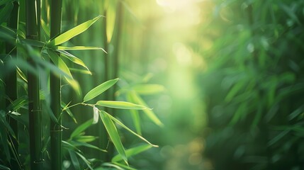 Bamboo forest path, sunbeams filtering through, close-up of leaves, straight-on angle, soft backlight  - obrazy, fototapety, plakaty