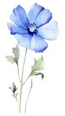PNG Blue my mind flower petal plant inflorescence - obrazy, fototapety, plakaty