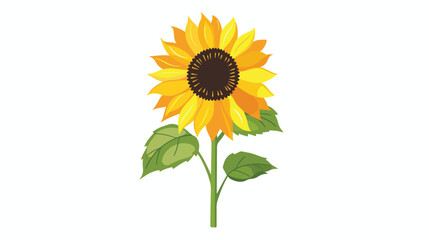 Sunflower icon isolated flat design Flat vector isolated