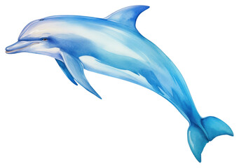 PNG Dolphin animal mammal fish 