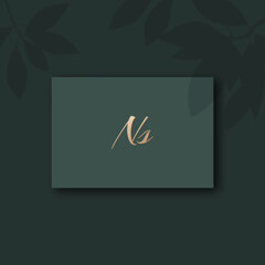 Ns logo design template