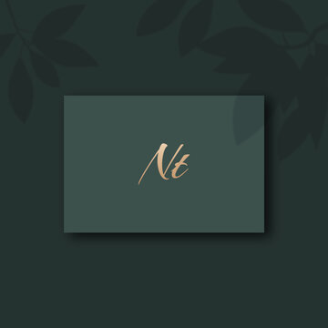 Nt logo design template