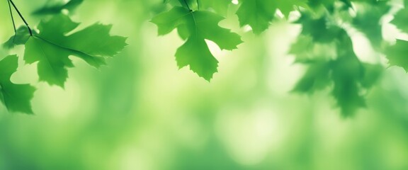 Fototapeta na wymiar Light green shiny summer leaves abstract motion design