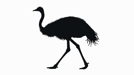 Silhouette of a little ostrich walking and tall Flat - obrazy, fototapety, plakaty
