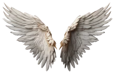 Foto op Plexiglas PNG Angel flying bird wing © Rawpixel.com